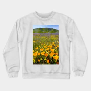 Shell Creek, California (C008/4531) Crewneck Sweatshirt